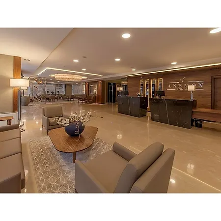 Anemon Kent Ankara