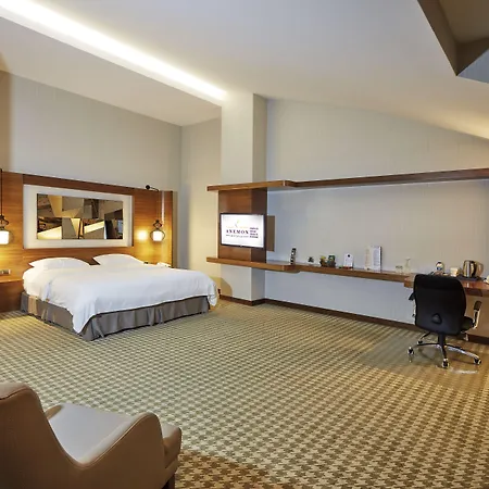 Anemon Kent 4* Ankara