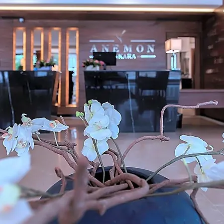 Hotel Anemon Kent