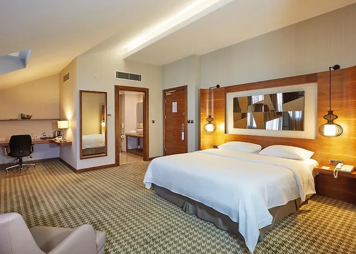 Anemon Kent アンカラ