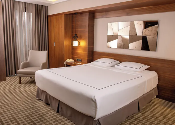 Anemon Kent アンカラ